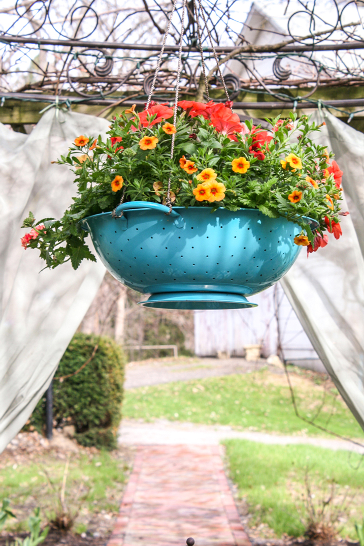 bright blue colander hanging planter