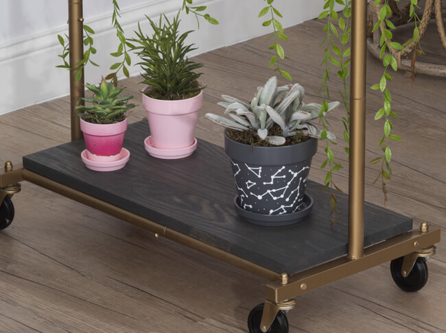 Three plants in painted flower pots.