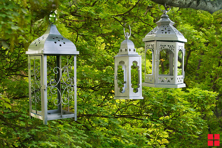 Lanterns hung in front of green trees