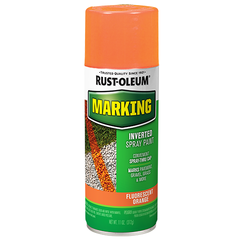 Related Product