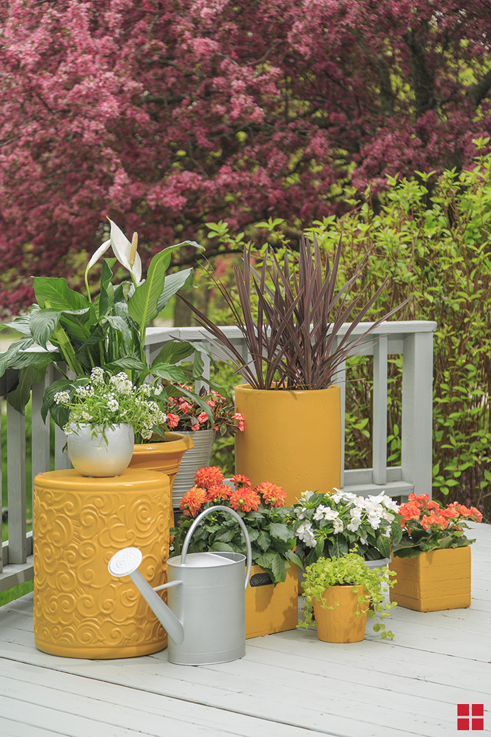 Watering Can project