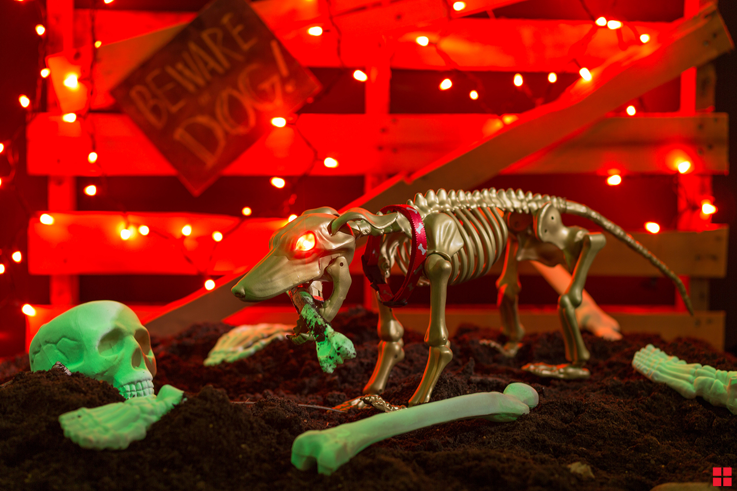 Halloween Glow in the dark Dog