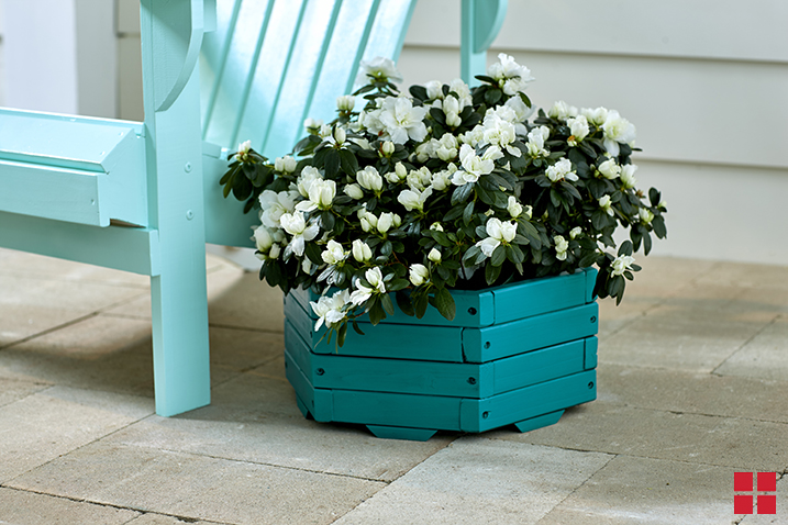 Dark Turquoise Wooden Hexagon Planter