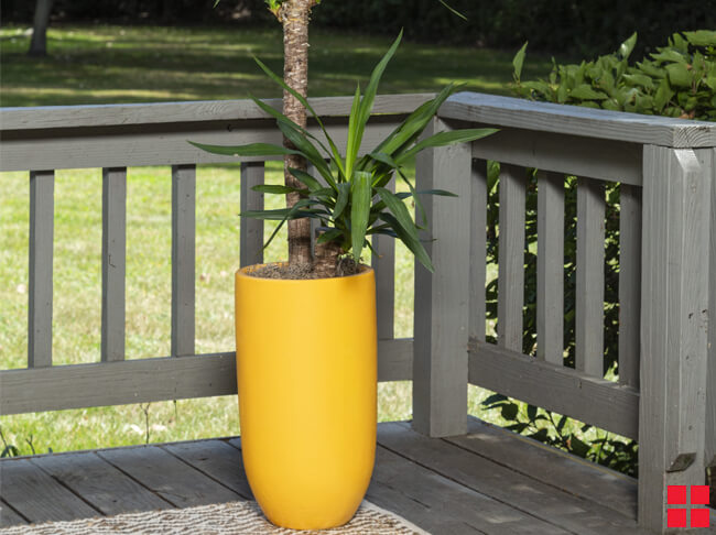 Tall Planter Harvest Peach