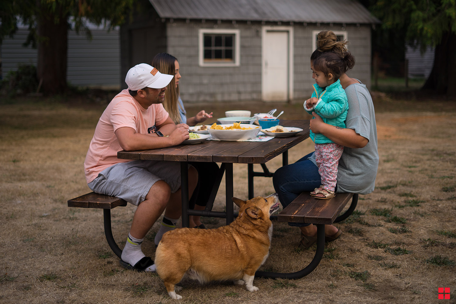 Refreshed Picnic Table