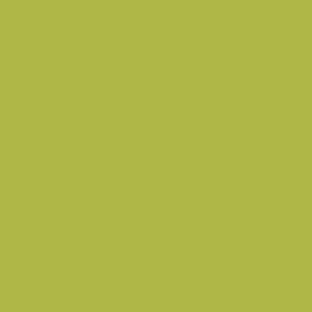Painter's Touch 2X Joshua Tree Color Swatch