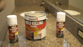 Mold Remediation with Zinsser Mold Killing Primer