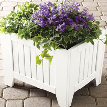 White Planter