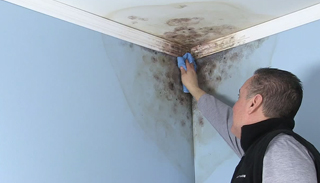 Thumbnail of Frank Glowacki demonstrating Mold Killing Primer