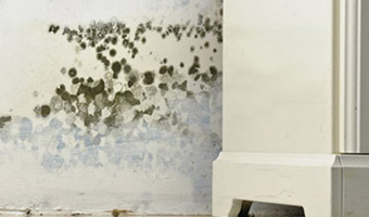 Mold on walls behind furniture.