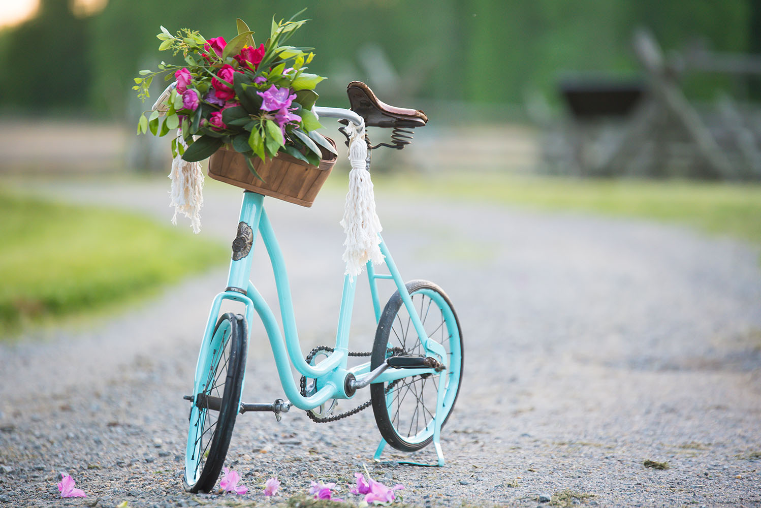 Turquoise vintage bike.