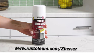 Got Mold? How to Treat Mold with Zinsser Mold Blocking Primer Spray