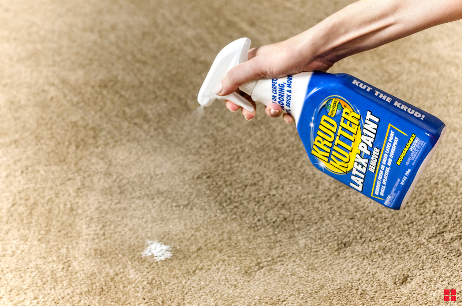 Remove Latex Paint