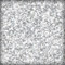 251053 - Silver