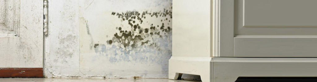 Mold and mildew on a white door.