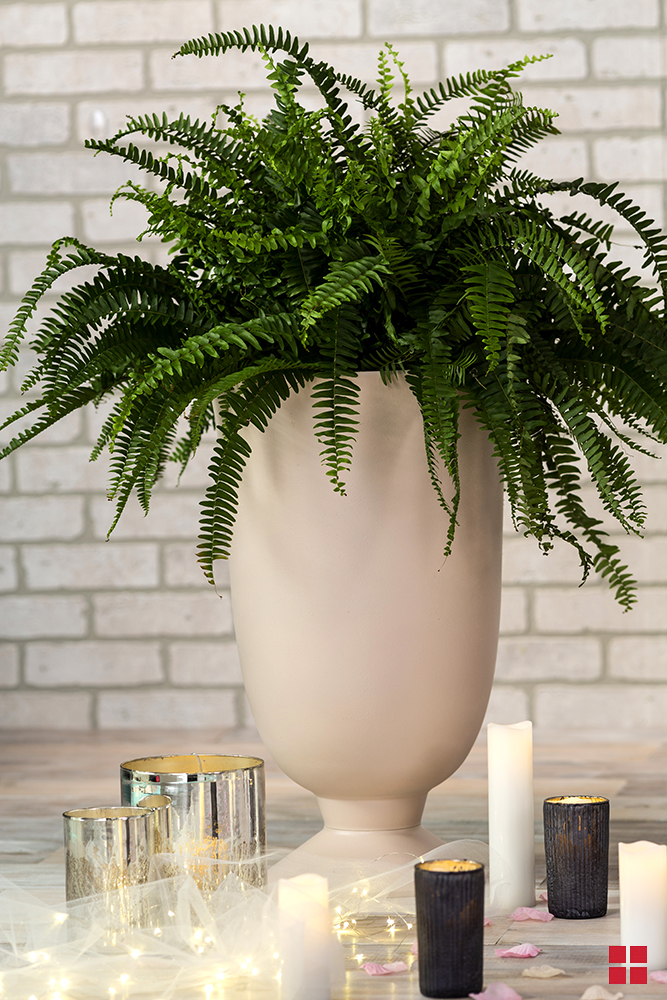 Greenery in a pale pink planter surrounded by small candles
